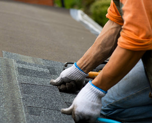 Best Roof Gutter Cleaning  in Oakville, CT